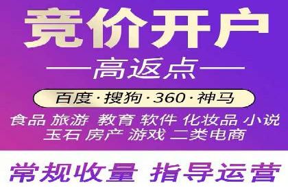 案例分享：竞价代运营助力企业增长